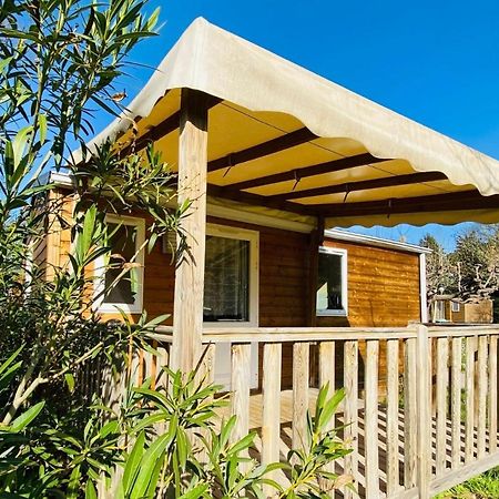 Amelia Camping Amélie-les-Bains-Palalda Εξωτερικό φωτογραφία